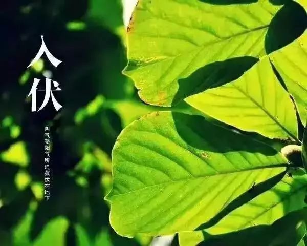 中膳承包的饭堂如何保障饮食安全？